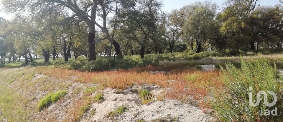 Terreno em Poceirão e Marateca de 32 250 m²