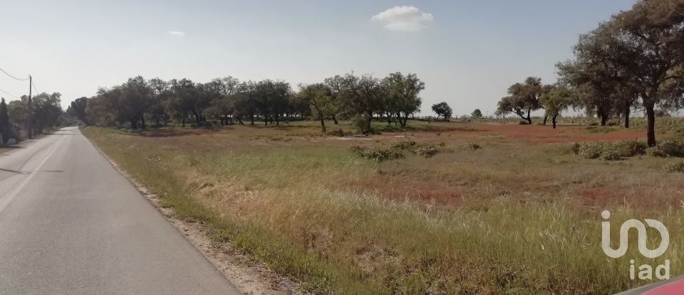 Terreno em Poceirão e Marateca de 32 250 m²