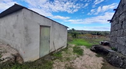 Land in Seixo da Beira of 14,947 m²