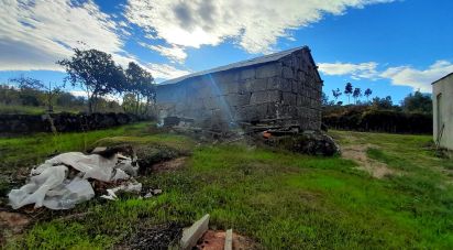 Terreno em Seixo da Beira de 14 947 m²