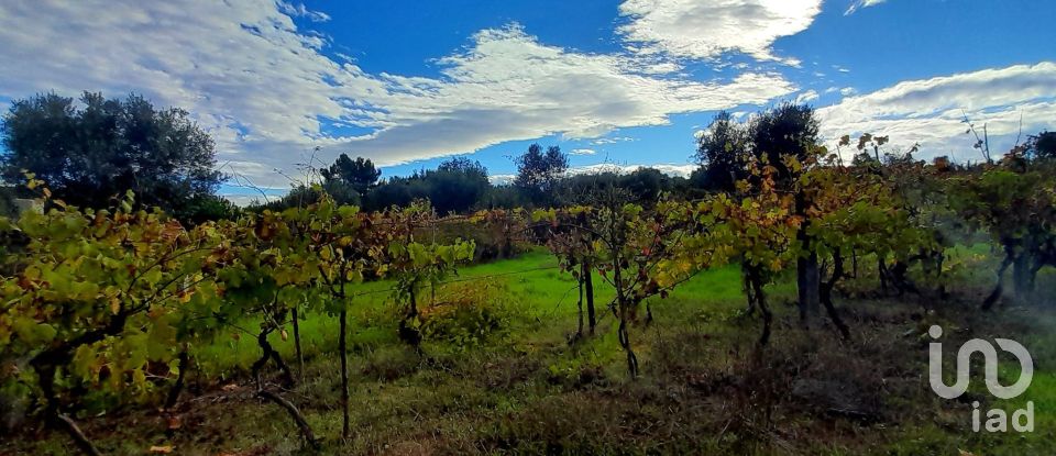 Terreno em Seixo da Beira de 14 947 m²