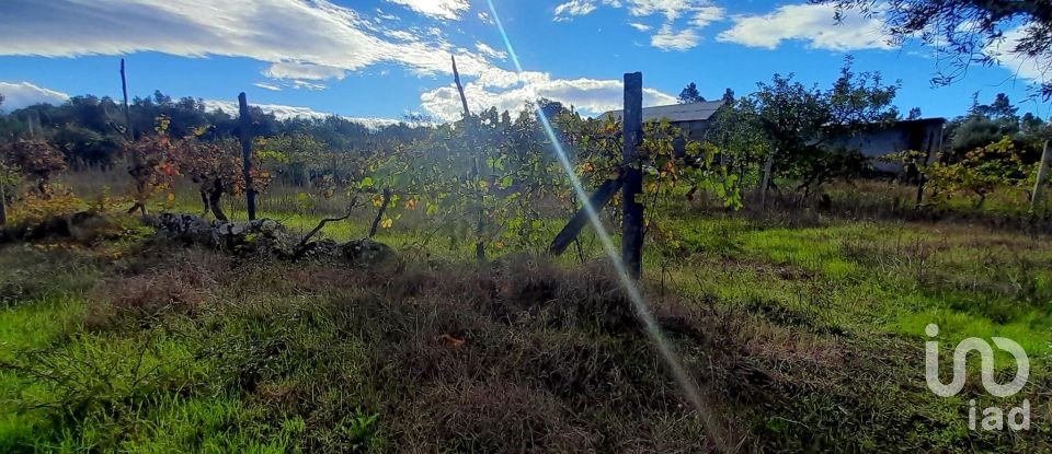 Terreno em Seixo da Beira de 14 947 m²