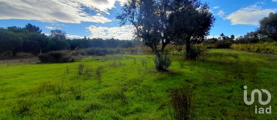 Terreno em Seixo da Beira de 14 947 m²