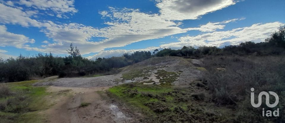 Terreno em Seixo da Beira de 14 947 m²