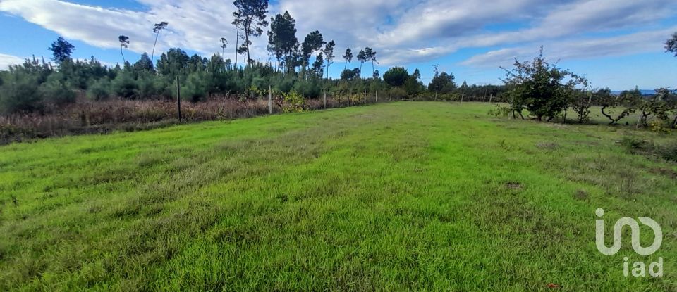 Terreno em Seixo da Beira de 14 947 m²