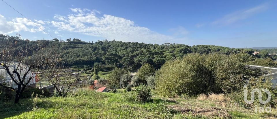 Building land in Arganil of 738 m²