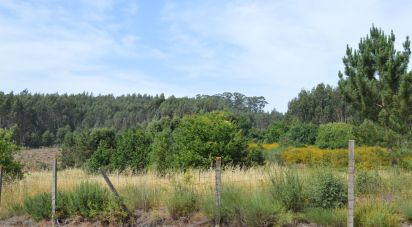 Terreno para construção em Termas de São Vicente de 83 204 m²