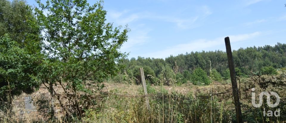 Terreno para construção em Termas de São Vicente de 83 204 m²