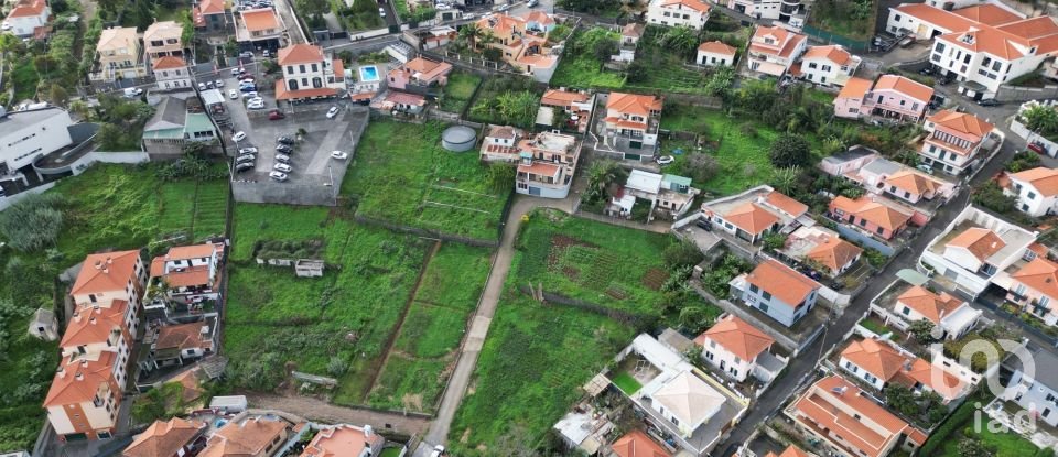 Terreno em Santo António de 4 050 m²