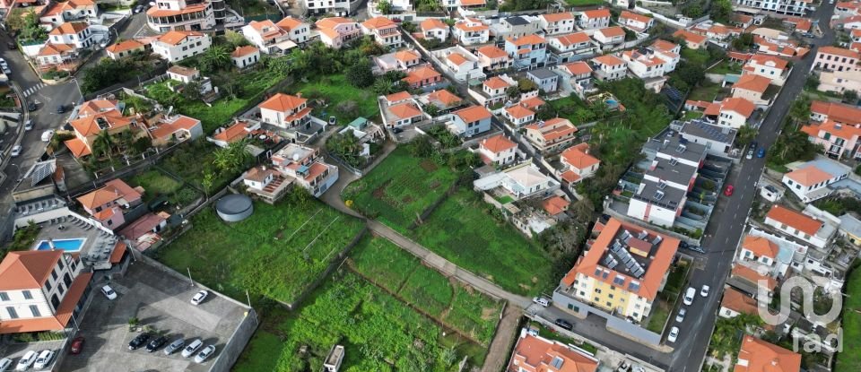 Terreno em Santo António de 4 050 m²