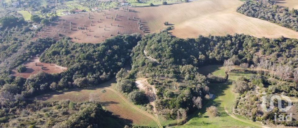 Terreno para construção em Abitureiras de 82 840 m²