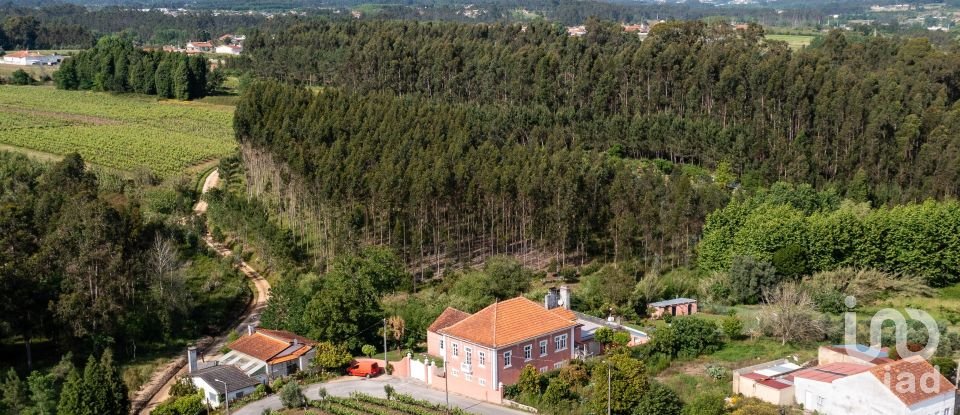 Lodge T7 in Bustos, Troviscal e Mamarrosa of 598 m²