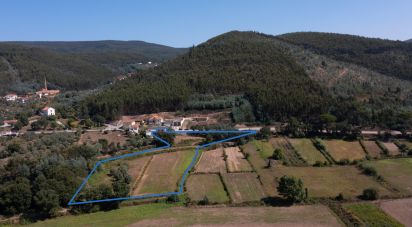 Terreno em Vila Nova do Ceira de 10 250 m²