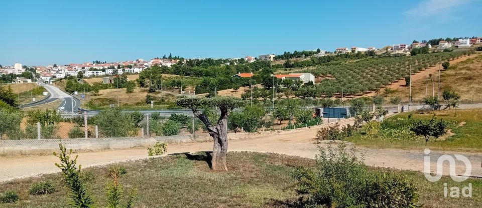 Casa / Villa T3 em Mogadouro, Valverde, Vale de Porco e Vilar de Rei de 324 m²