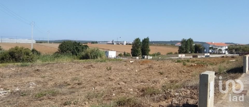 Terreno para construção em Atouguia da Baleia de 210 m²