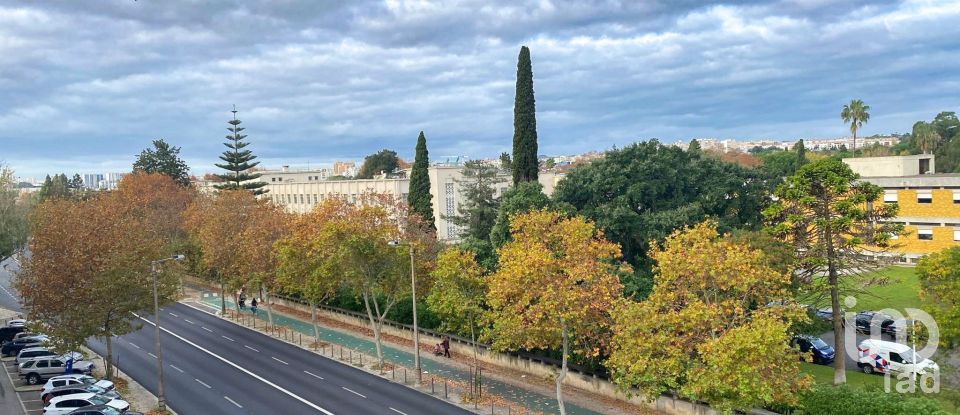 Appartement T2 à Alvalade de 100 m²