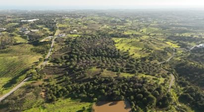 Terrain à bâtir à Vila Nova de Cacela de 7 650 m²