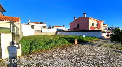 Terreno em Ponte de Sor, Tramaga e Vale de Açor de 352 m²