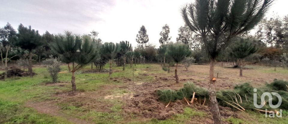 Terreno em Seixo da Beira de 9 620 m²