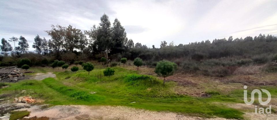 Terreno em Seixo da Beira de 9 620 m²