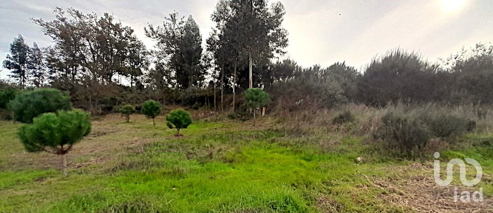 Terreno em Seixo da Beira de 9 620 m²