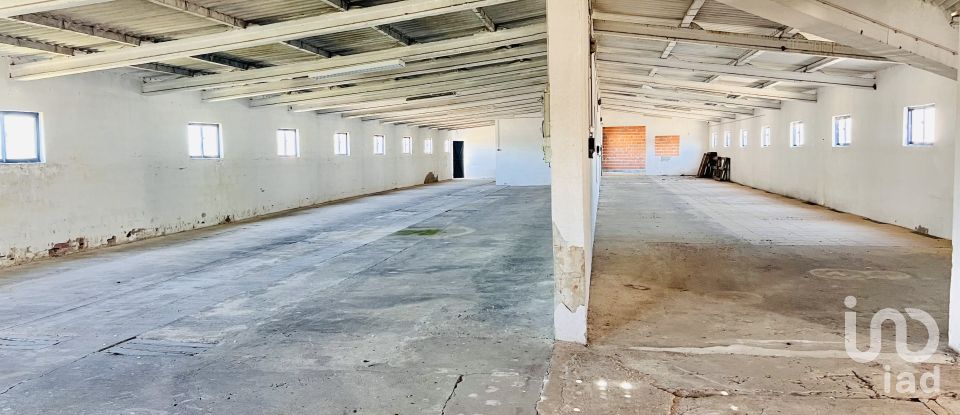 Quinta T5 em Alpiarça de 183 m²