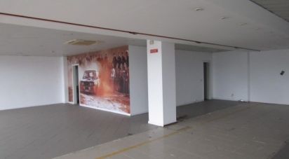 Loja / Estabelecimento Comercial em Lamego (Almacave e Sé) de 162 m²