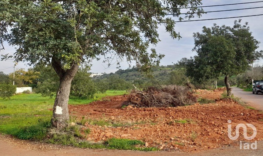 Terreno em Boliqueime de 1 530 m²