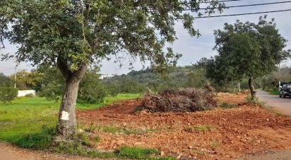 Land in Boliqueime of 1,530 m²