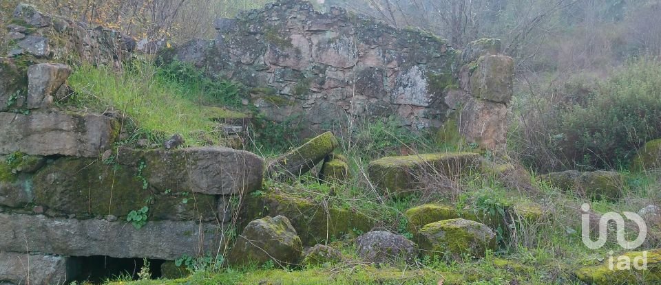 Terreno em Canas de Senhorim de 540 m²