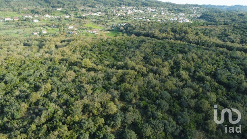 Terreno em Areias e Pias de 3 400 m²