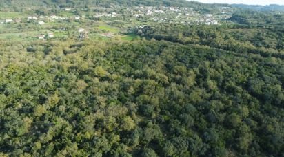 Terreno em Areias e Pias de 3 400 m²