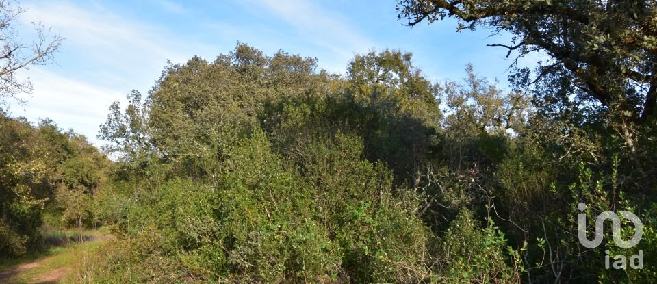 Terreno em Areias e Pias de 3 400 m²