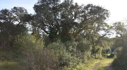 Terreno em Areias e Pias de 3 400 m²