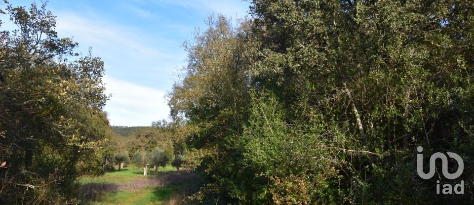 Terreno em Areias e Pias de 3 400 m²