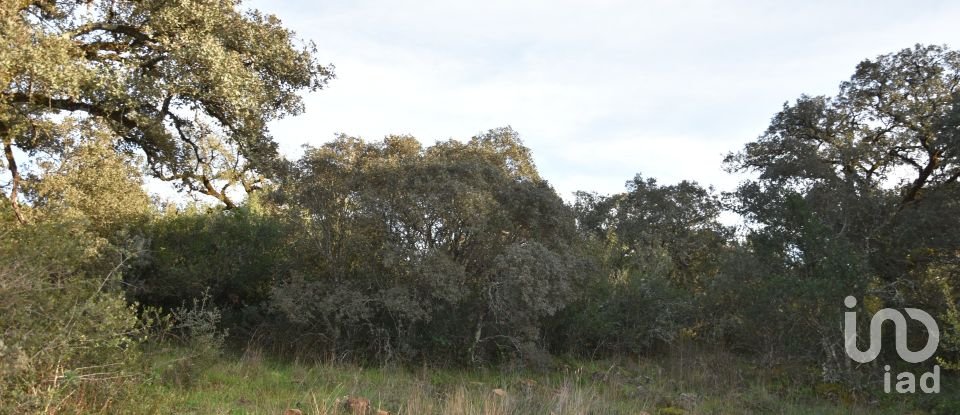 Terreno em Areias e Pias de 3 400 m²