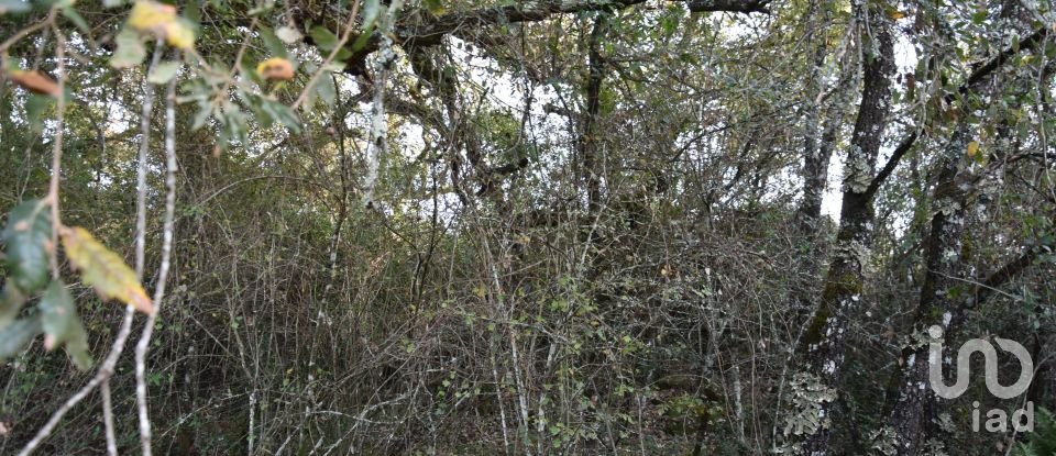 Terreno em Areias e Pias de 3 400 m²