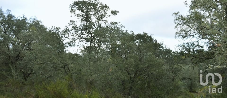 Terreno em Areias e Pias de 1 080 m²