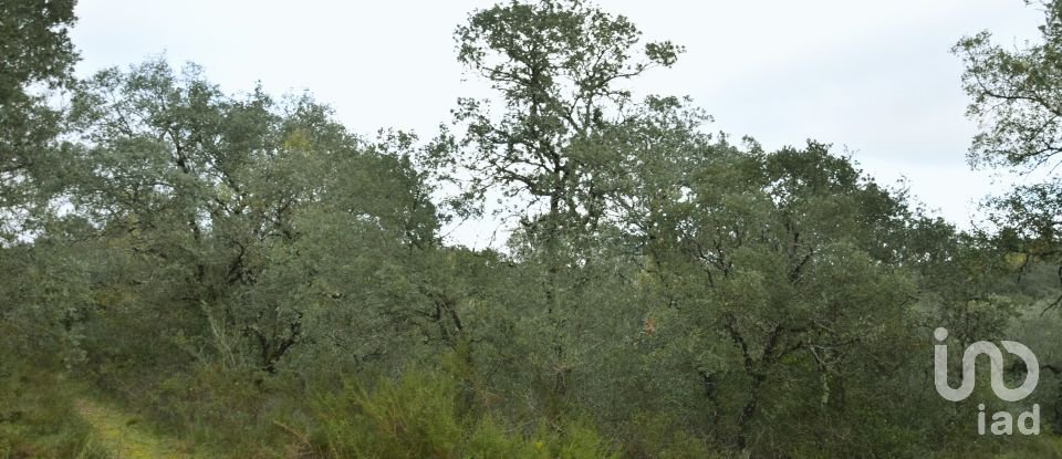 Terreno em Areias e Pias de 1 080 m²