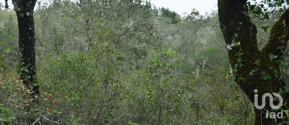 Terreno em Areias e Pias de 1 080 m²