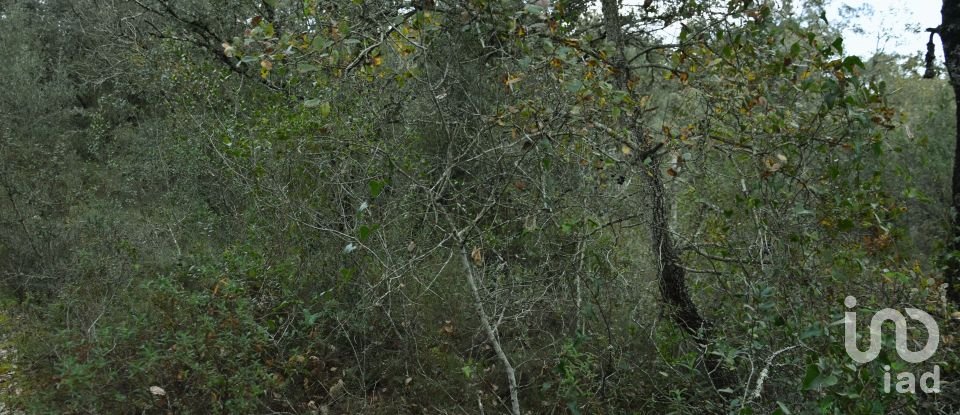 Terreno em Areias e Pias de 1 080 m²