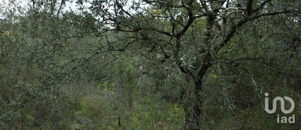 Terreno em Areias e Pias de 1 080 m²