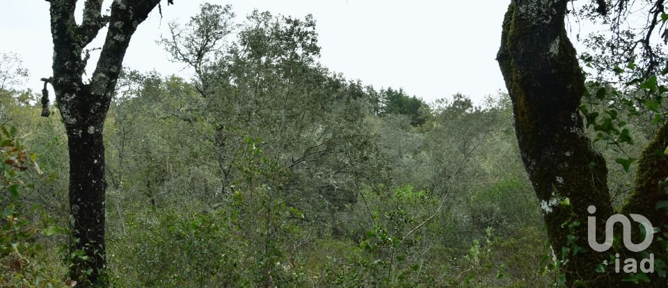 Terreno em Areias e Pias de 1 080 m²