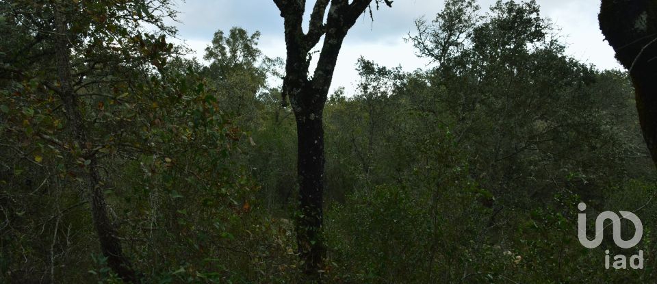 Terreno em Areias e Pias de 1 080 m²