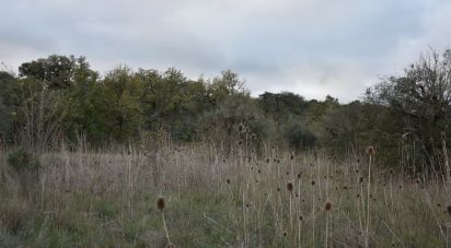 Terreno em Areias e Pias de 2 560 m²