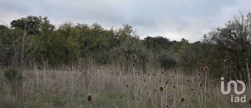 Terreno em Areias e Pias de 2 560 m²