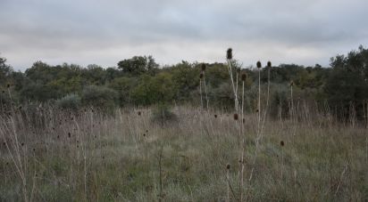 Terreno em Areias e Pias de 2 560 m²