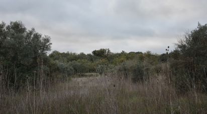 Terreno em Areias e Pias de 2 560 m²