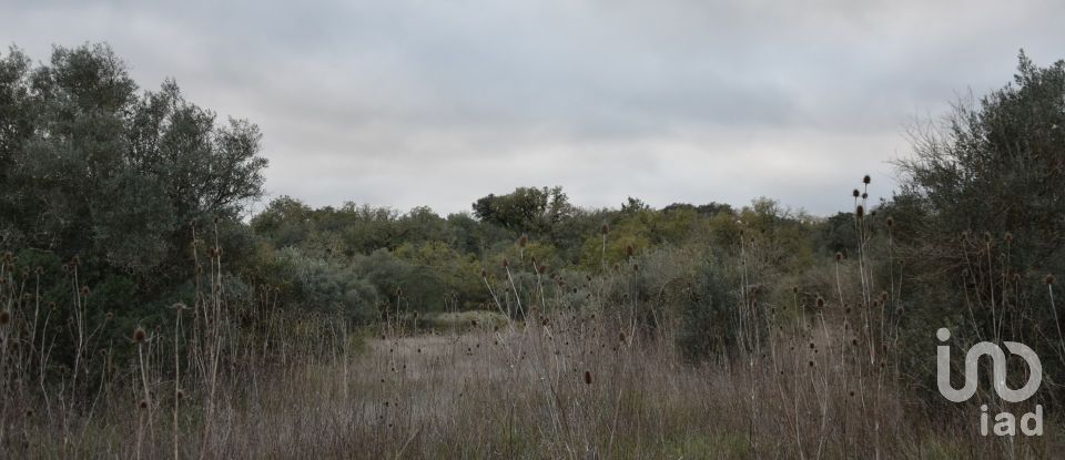 Terreno em Areias e Pias de 2 560 m²