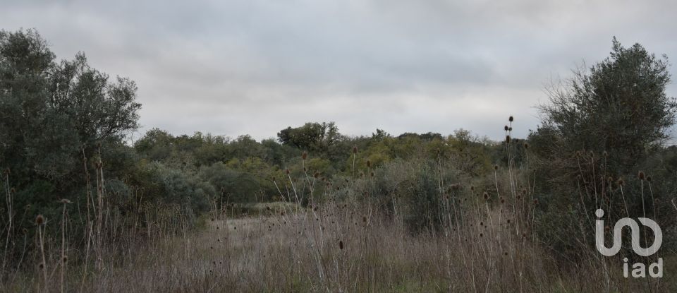 Terreno em Areias e Pias de 2 560 m²